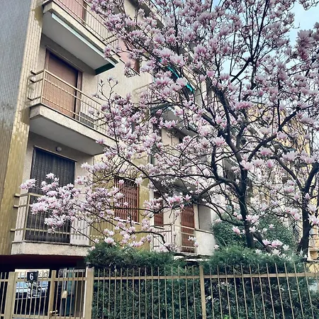 Bruschetti Milan